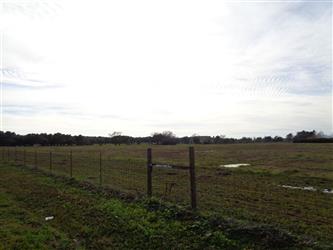 The West 4th and Q Property owned by Twin Rivers - A grassy lot behind a fence next to a road