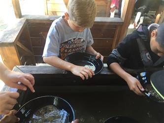 Westside students pan for gold