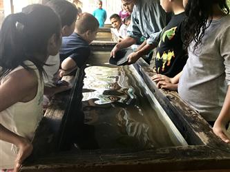 Hagginwood - more panning for gold