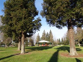 The Chuckwagon Park Property owned by Twin Rivers