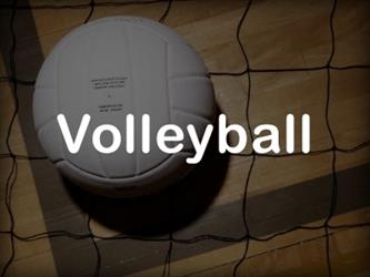 Volleyball - A volleyball and net
