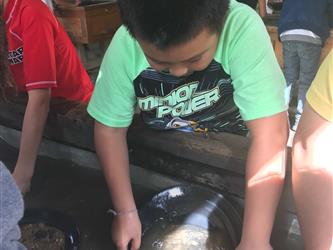 Hagginwood student panning for gold