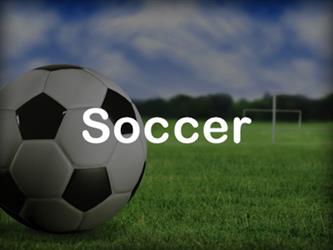 Soccer - a soccer ball on the grass